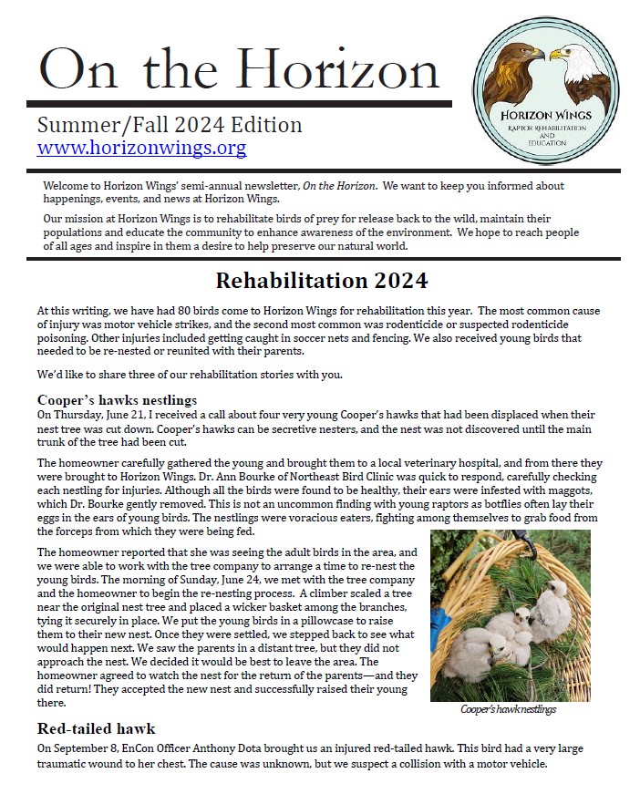 On the Horizon, Horizon Wings' newsletter.